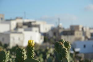 Vorina Ktismata Amorgos Greece