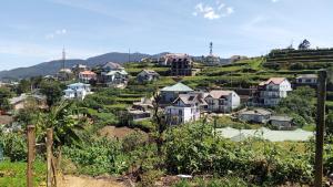 Misty dorm apartment 2