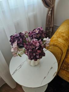 Central Viva Apartment