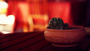 Agriturismo Pedru Caddu img93