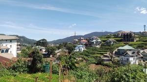 Misty dorm apartment 2