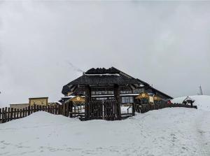 Cabana Vârful Ciucaș