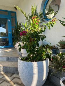 Pensiunea Delta Blue