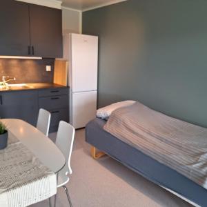 Helt ny sentral 2-roms leilighet i Dyrøy