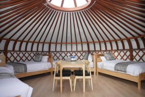 Premium Bolor Resort, Terelj