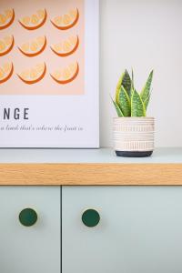 Studio cosy et pratique, proche métro, par de la tête dor