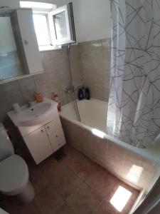 Vivis 1 room Apartment