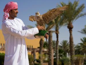 Aldhafra Desert Resort, Vignette Collection by IHG