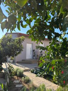 DM Studios Near Athens Airport