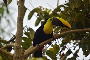 Mirador Valle del General