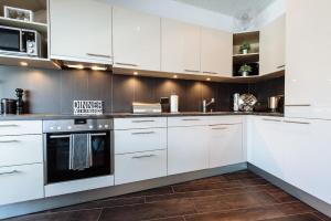 NYON - SUPERB flat by the lake