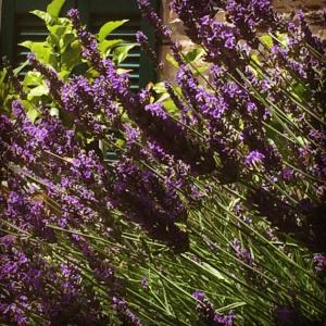 Locanda Il Monastero