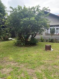 Denzong House Homestay