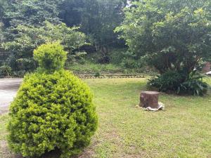Denzong House Homestay