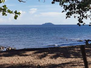 Beach Glamping Dome Dauin Modern Style