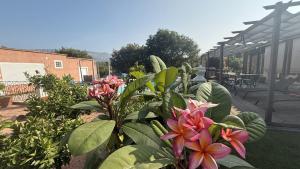 Maison Dhôtes Hippône