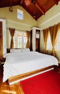 Dityas House