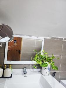 Nguyên căn 4 giường YA Beach Da Nang