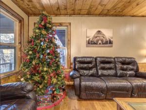 Lil Bears Den By Avada Properties