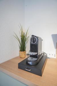 Auenblick -Natur genießen, Leipzig erleben