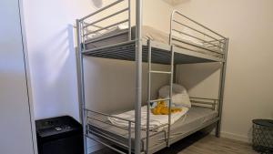 Rhin Quartier Ferienwohnung Hostel-Style