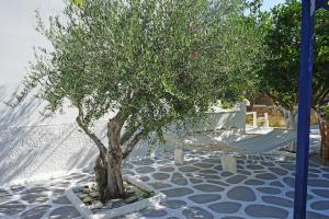 Yiannis Studios Paros Greece