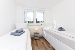 Seekieker - Abendstern