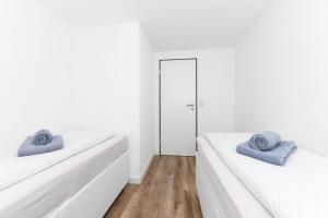 Seekieker - Abendstern