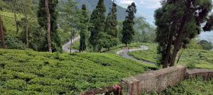 Queens Nest Homestay