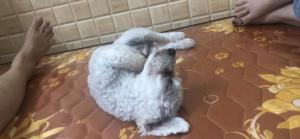 Nhà nghỉ hảo hảo