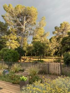 maison Popup dans un ecrin de verdure