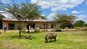 Arimuni Poolhouse -Breathtaking views, surrounded by nature and a private pool