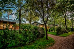 Glamping Tenuta Poggio Rosso