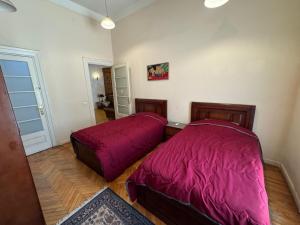 Zamalek Garden villa-at the Nile