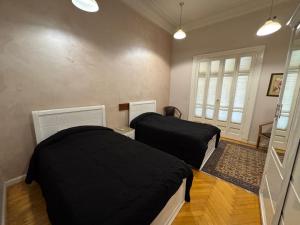 Zamalek Garden villa-at the Nile