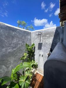 Outdoor bathroom, Outdoor bathtub, bed & kitchen tiny container house