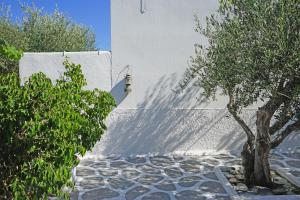 Yiannis Studios Paros Greece