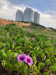 Căn hộ nghỉ dưỡng APEC - Mũi Né