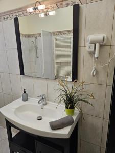 Central Cozy Apartment