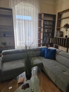 Central Cozy Apartment