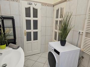 Central Cozy Apartment