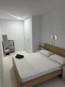 Mane Studio Apartment