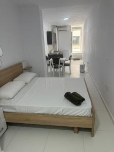 Mane Studio Apartment