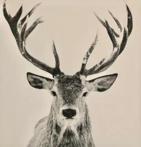 Brick Pond House, a perfect place to stay!