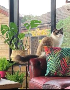 Brick Pond House, a perfect place to stay!