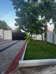 Jlynn retreat -2 Bed Rooms Apartment