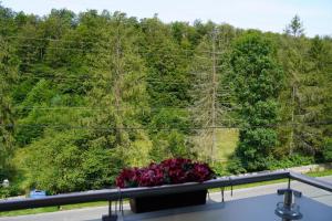 Gasthaus Casa Kugler