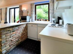 Pet Escape in Ardennes