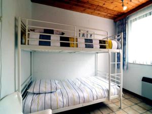 Pet Escape in Ardennes