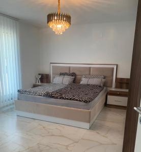 Spacious Modern Villa